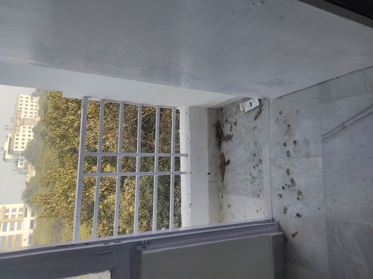 Balcony, panchsheel vihar 1 Bedroom 50 Sq.Yd. Builder Floor In Panchsheel Vihar Delhi 9786434