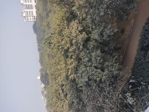 1 BHK Builder Floor – Exterior View View at Panchsheel Vihar - for Sale