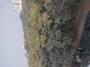 1 BHK Builder Floor – Exterior View View at Panchsheel Vihar - for Sale