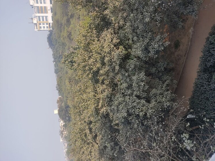 Exterior View, panchsheel vihar 1 Bedroom 50 Sq.Yd. Builder Floor In Panchsheel Vihar Delhi 9786434