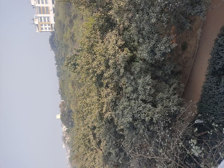 Exterior View, panchsheel vihar 1 Bedroom 50 Sq.Yd. Builder Floor In Panchsheel Vihar Delhi 9786434