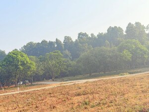  Plot For Sale in Shimla Bypass Road