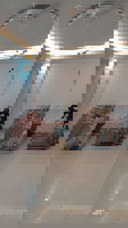 3 BHK + Pooja Room Builder Floor For Rent in Sector 8 Dwarka