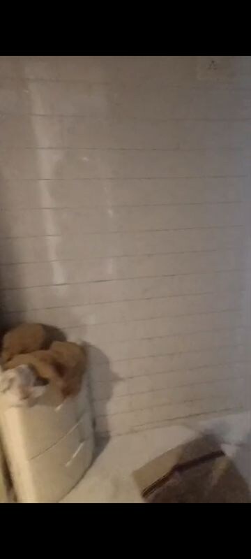 Bathroom in 1 BHK Apartment at Vile Parle East – for Rent