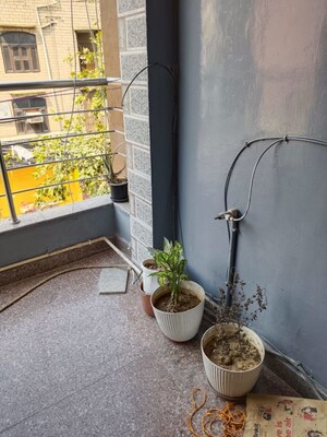 Balcony in 1 BHK Builder Floor at Sector 24 – for Rent