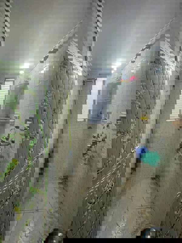 2 BHK + Pooja Room Builder Floor For Sale in Shalimar Garden Extension I