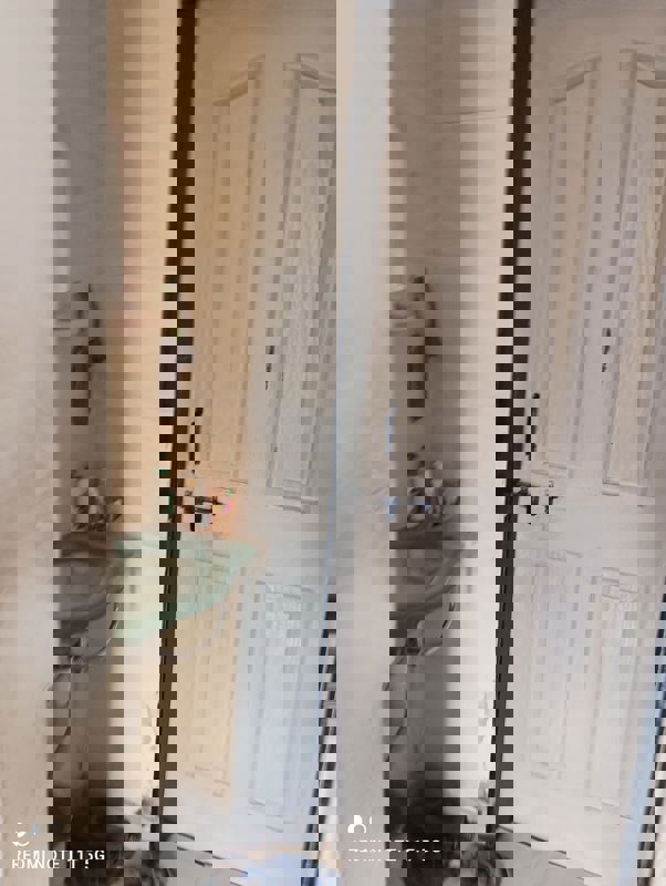 1 BHK Apartment For Sale in Wakad