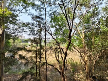 Plot Area in 2 BHK Apartment at Amey River View , Anand Nagar – for Rent