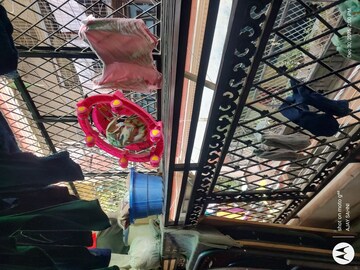 2 BHK Builder Floor – Exterior View View at Mehrauli - for Sale