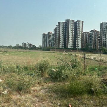  Plot For Sale in Sector 61