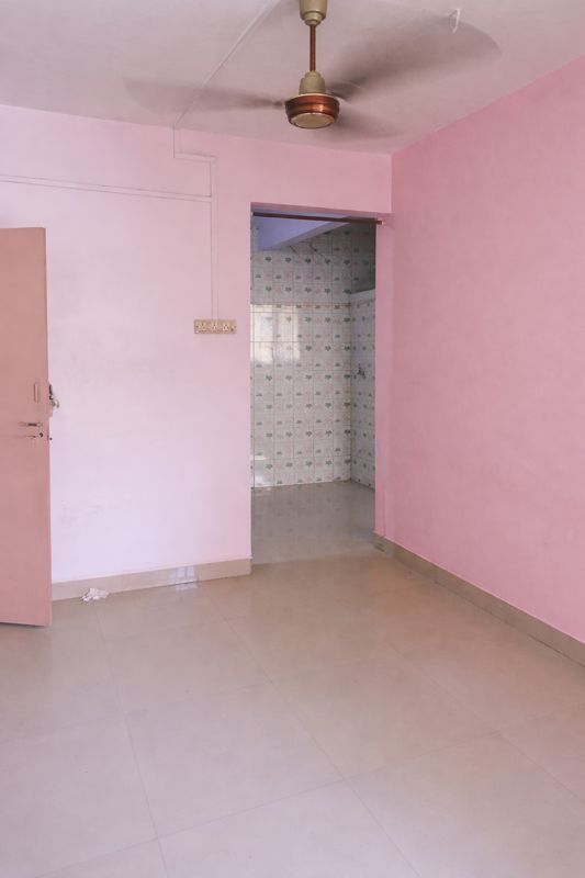 1 BHK Apartment For Sale in Manesha Nagar