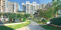 4 BHK + Pooja Room Apartment For Sale in Nahar Chandi Valley