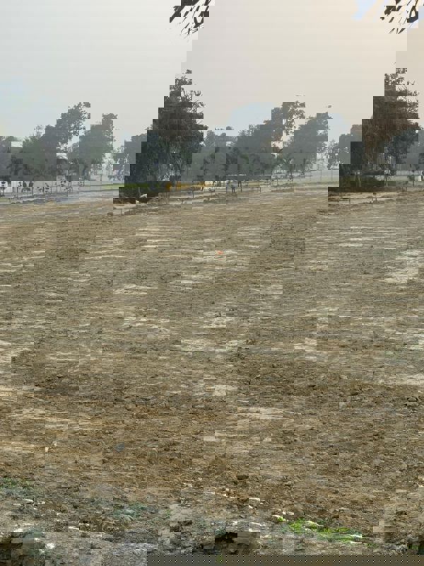 Plot For Sale in Gosainganj