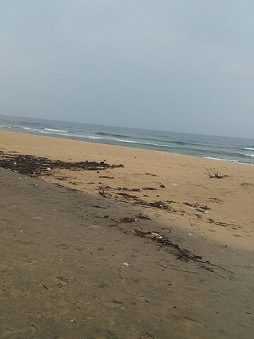 Plot Area in  Land at Vengurla – for Sale