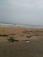 25 Acre Land in Vengurla