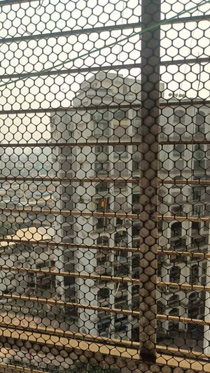 3 BHK Apartment – Exterior View View at Swaraj Planet, Kopar Khairane - for Rent