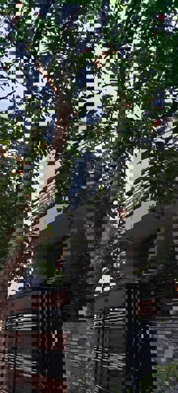 2 BHK + Store Room 900 Sq.Ft. Independent House in GMADA Eco City