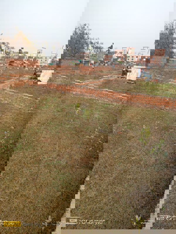 Plot For Sale in Naubasta Kala