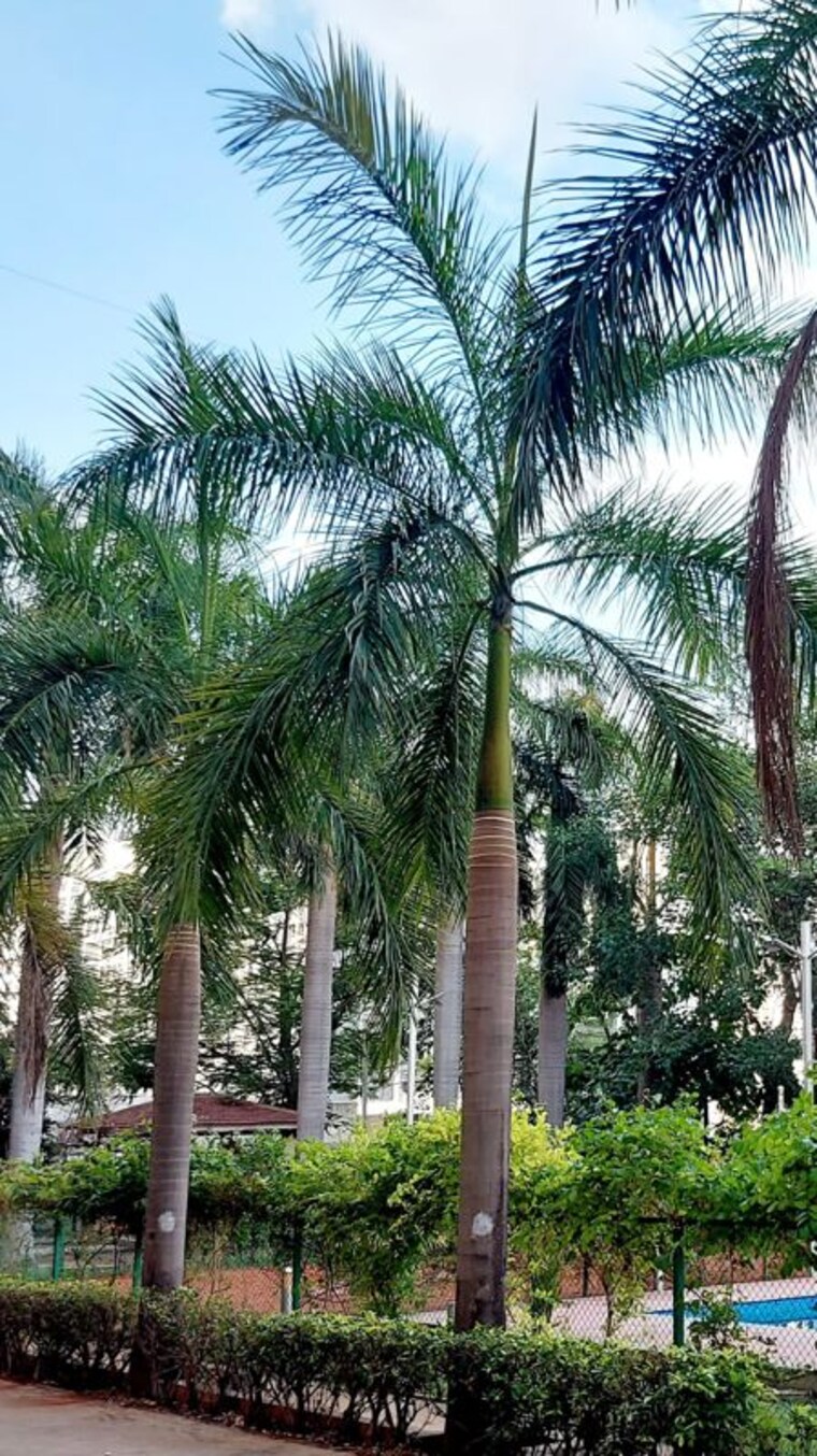 Exterior View, eisha-zenith 2 Bedroom 1143 Sq.Ft. Apartment In Wakad Pune 9788683