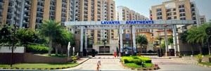 3 BHK Apartment For Rent in Vipul Lavanya, Sector 81