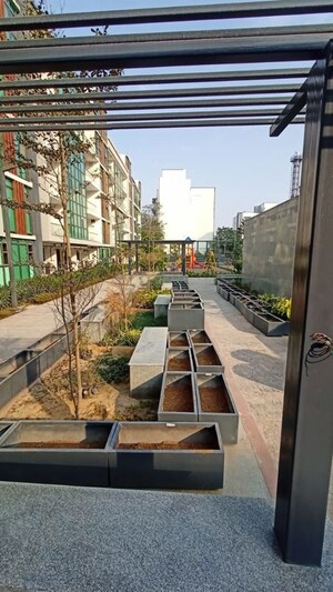 3 BHK Apartment For Rent in Signature Global City 63A, Sector 63a