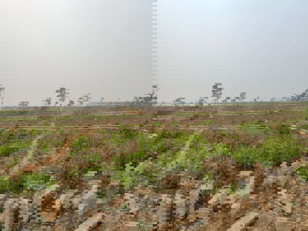 Plot For Sale in Boriyakhurd