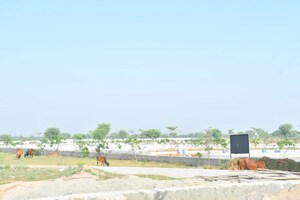 Plot Area in  Plot at Beldarichak – for Sale