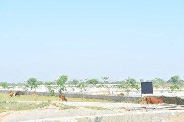 Plot Area in  Plot at Beldarichak – for Sale