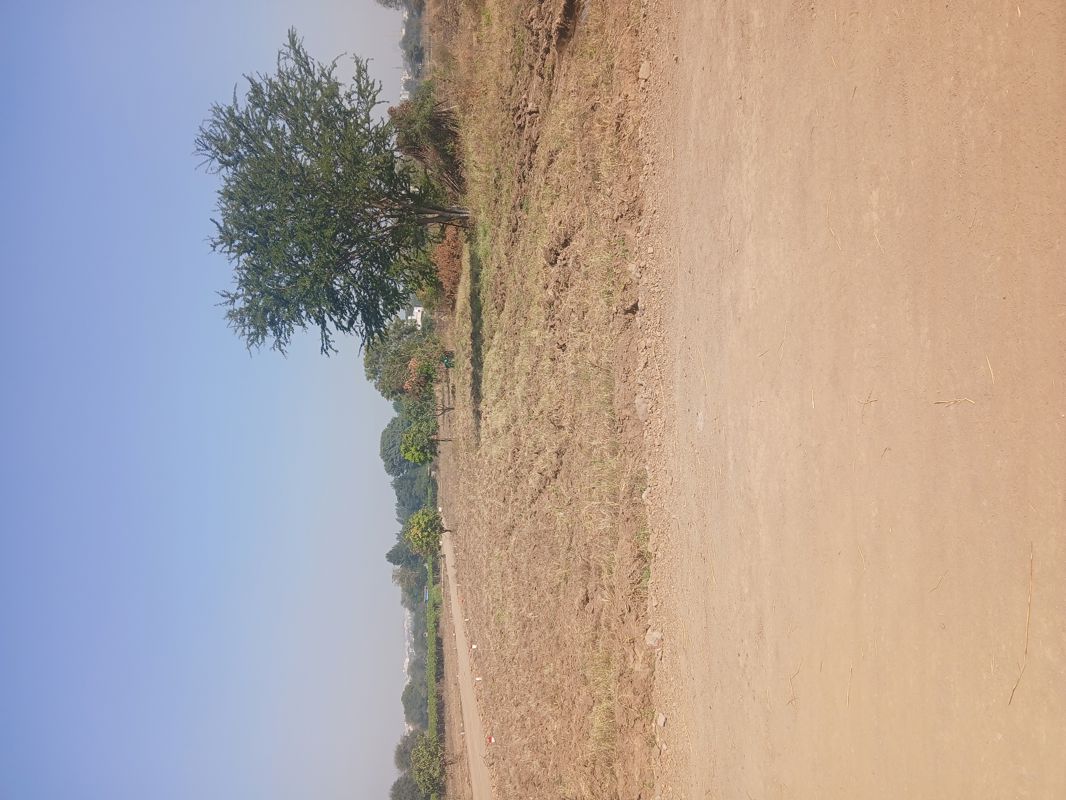 Plot For Sale in Trimbak