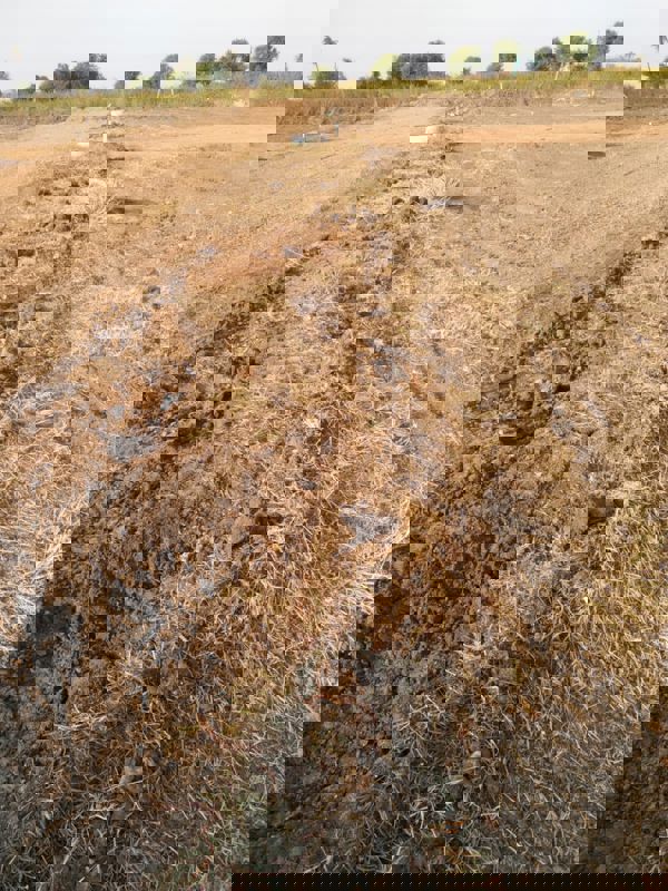 Plot For Sale in Aikhya Atulya Vanam