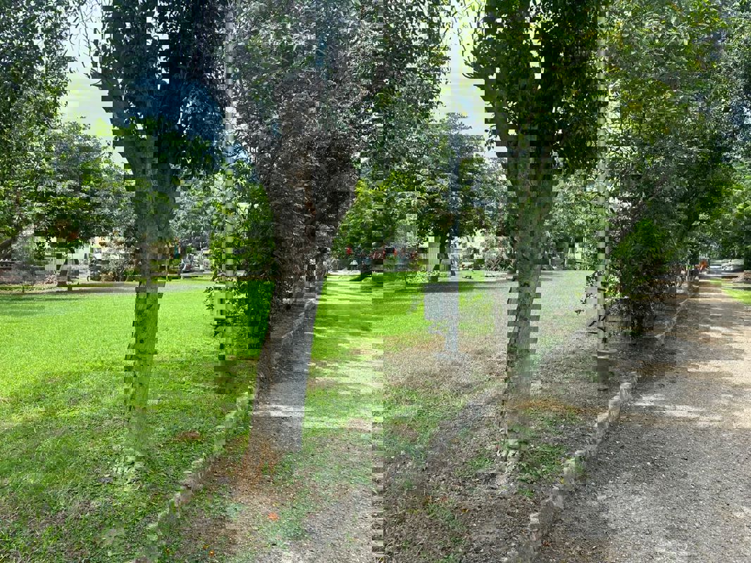 Plot For Sale in Chi IV Greater Noida