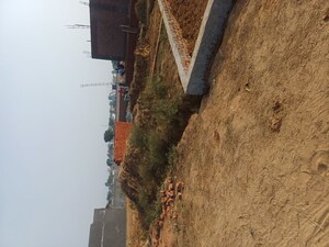  Plot For Sale in Nacholi