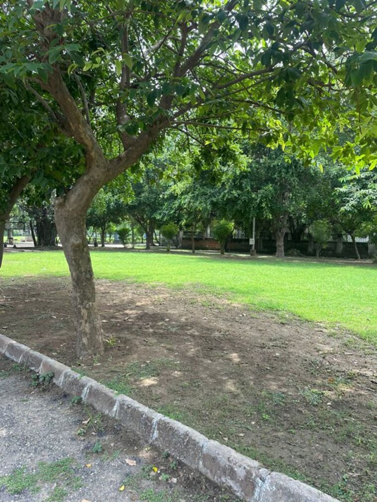 Garden, chi iv greater noida  530 Sq.Yd. Plot In Chi Iv Greater Noida Greater Noida 9790659