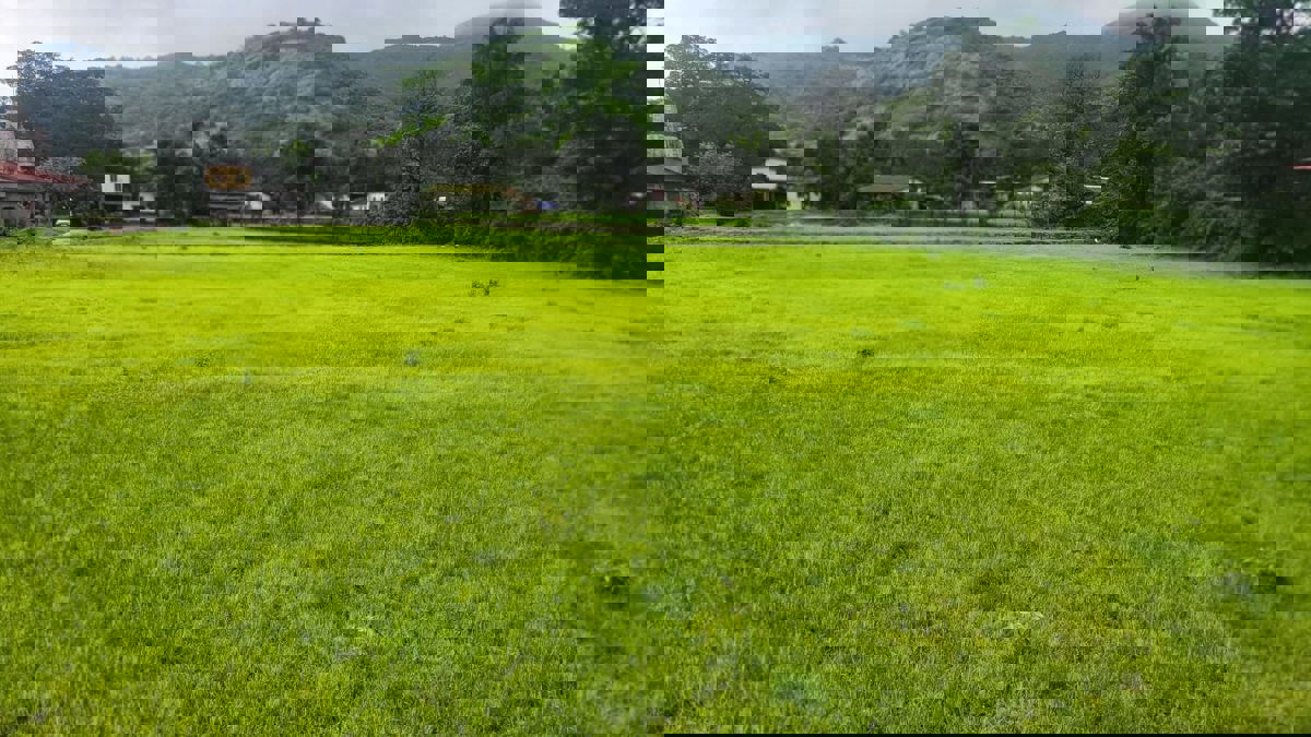 Plot For Sale in Mulshi