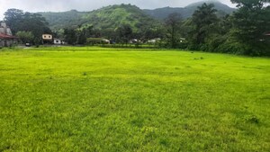  Plot For Sale in Mulshi