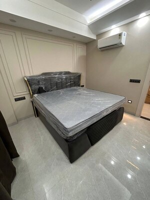 2 BHK Apartment For Rent in Saket