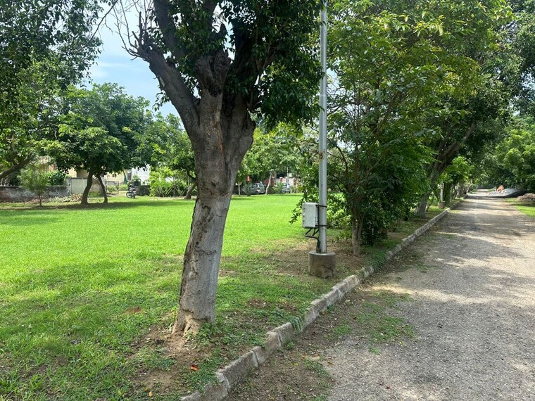 undefined, chi iv greater noida  537 Sq.Yd. Plot In Chi Iv Greater Noida Greater Noida 9790667