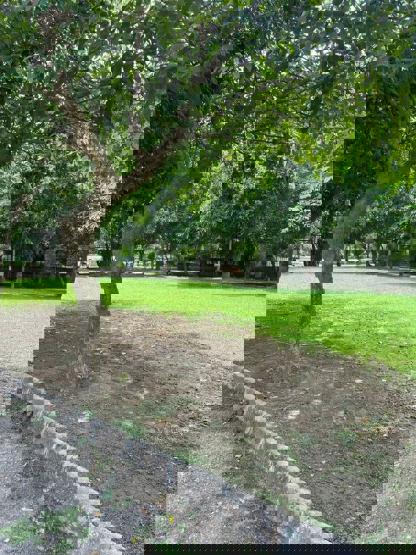 Plot For Sale in Chi IV Greater Noida