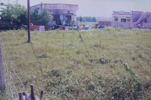  Plot For Sale in Mhow