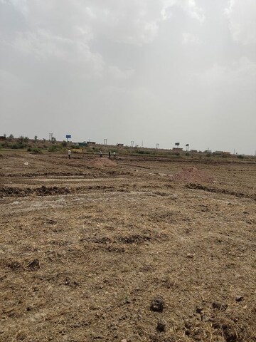 Plot Area in  Plot at Rewasan Village – for Sale