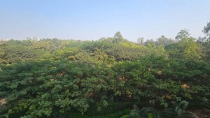 Plot Area in 3 BHK Apartment at Mantri Webcity, Hennur – for Rent