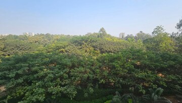 Plot Area in 3 BHK Apartment at Mantri Webcity, Hennur – for Rent