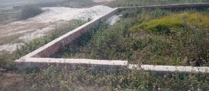 Plot Area in  Plot at Ramnagar Karjaha – for Sale