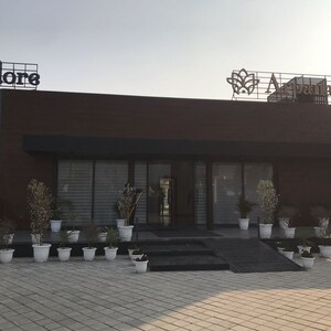 3 BHK Apartment For Sale in Sector 83