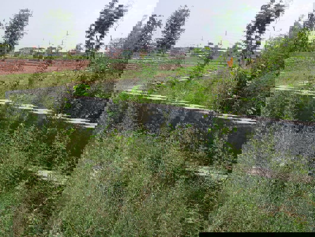 Plot For Sale in Sector 151