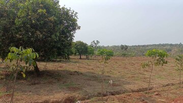 Plot Area in  Plot at Thummapala – for Sale