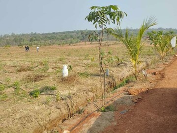  Plot For Sale in Thummapala