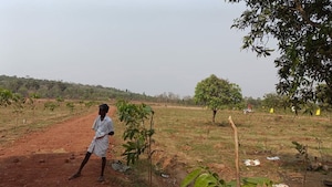 Plot Area in  Plot at Thummapala – for Sale