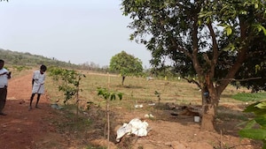 Plot Area in  Plot at Thummapala – for Sale