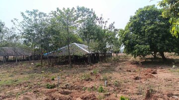 Plot Area in  Plot at Thummapala – for Sale